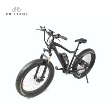 Einfache Fahrt mit Pedal Fat Tire Mountain E-Bike Jagd Elektrofahrrad